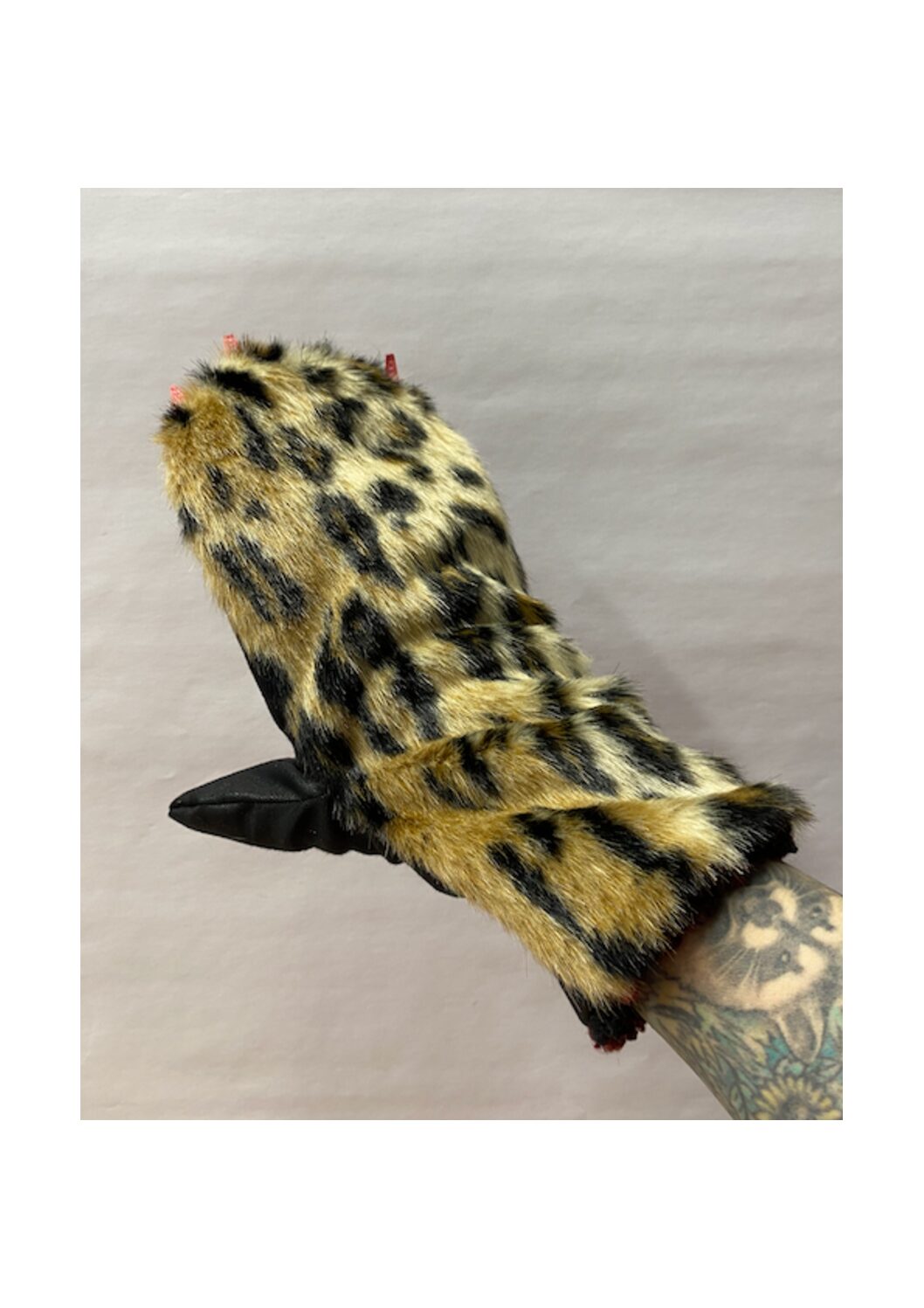 Jättikatti, tosiaan