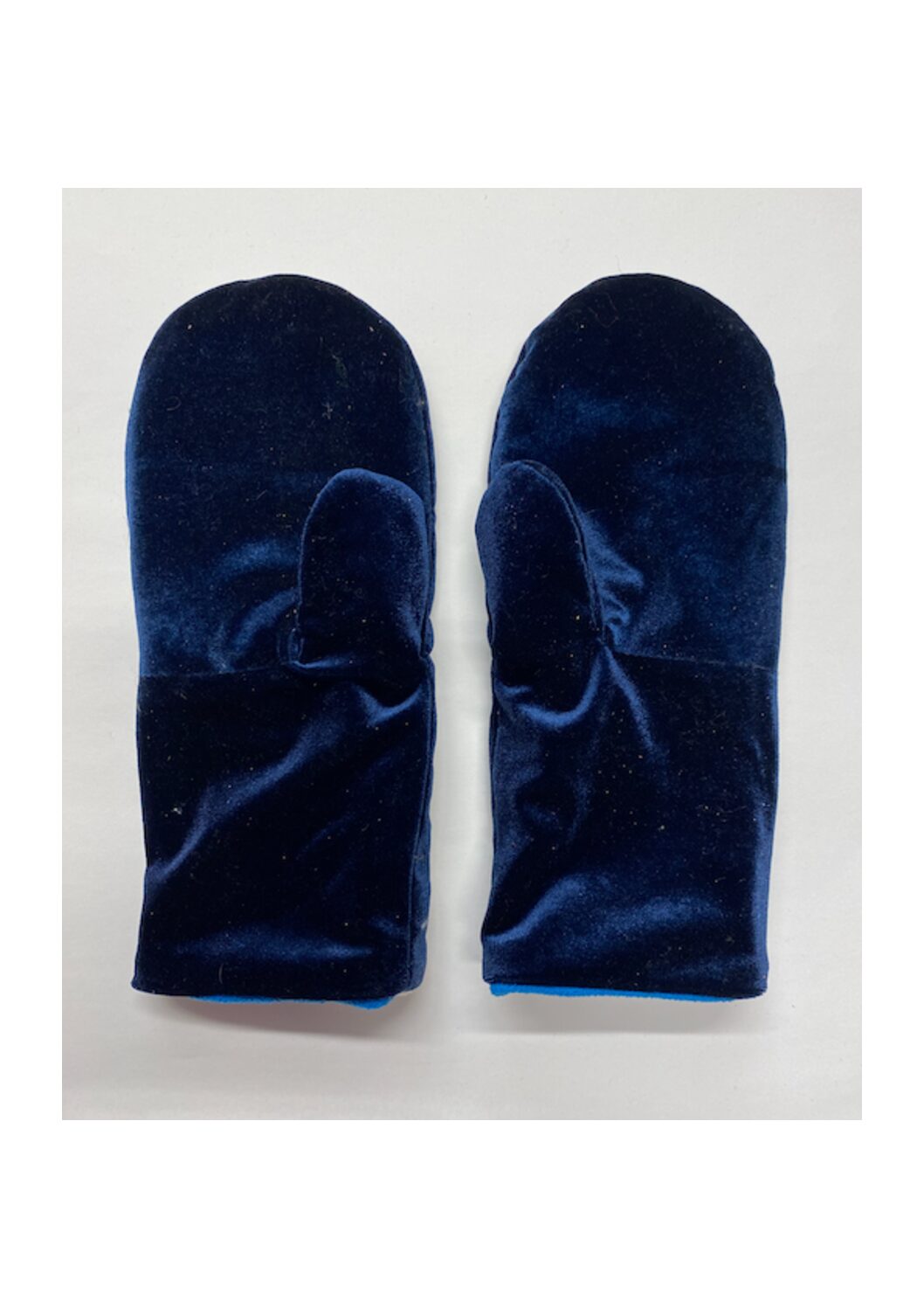 Sieni Sininen - Image 2